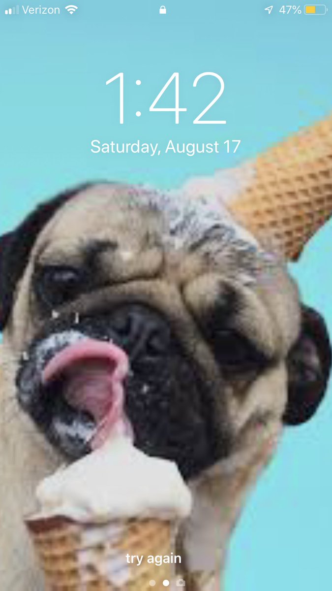ChaseS16's tweet photo. My intoxicated alter ego felt this was an appropriate back ground for my phone last night and I’m NOT upset https://t.co/LGgFp3hZqt