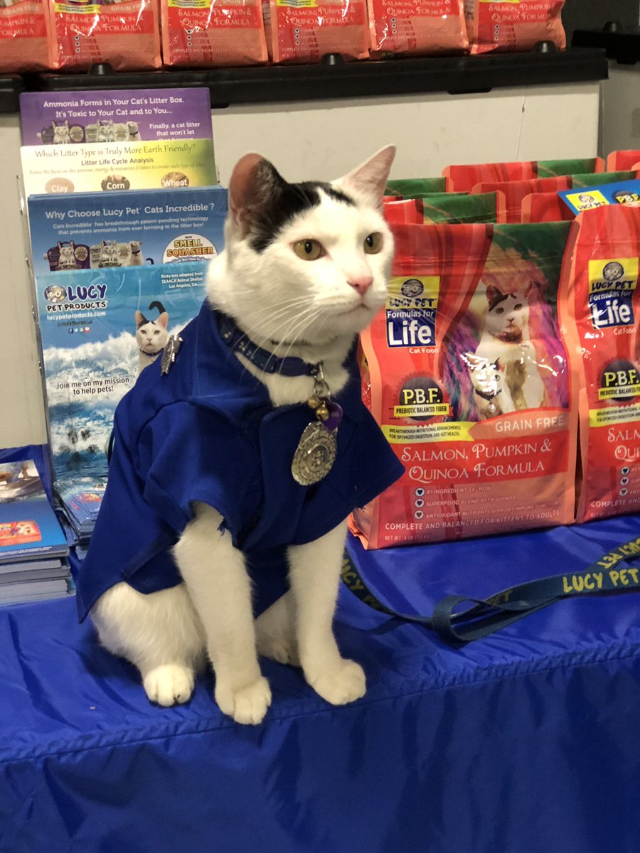 With a shirt this awesome, who needs pants?! 👖 @LucyPetProducts