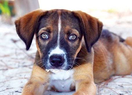 ZNS to Broadcast ‘It’s a Potcake Life’

Read more at TheAbaconian.com
bit.ly/2OZ6HoM