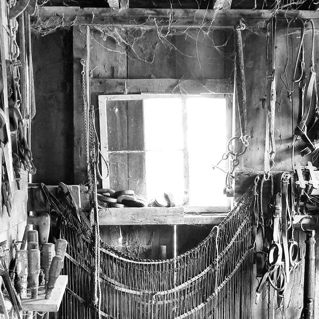 DeckerMfgCo's tweet photo. Can you spot the Decker spiral curry combs and horse brushes in this shot? This is in the horse barn at @livinghistoryfarms in Urbandale Iowa.
.
.
• • • • •
#horses #equestrian #groominghorses #madeintheUSA #currycomb #horsebrushes #horsetack #ho… https://t.co/5cNeYGRRcB https://t.co/DxBCWu2Mb4