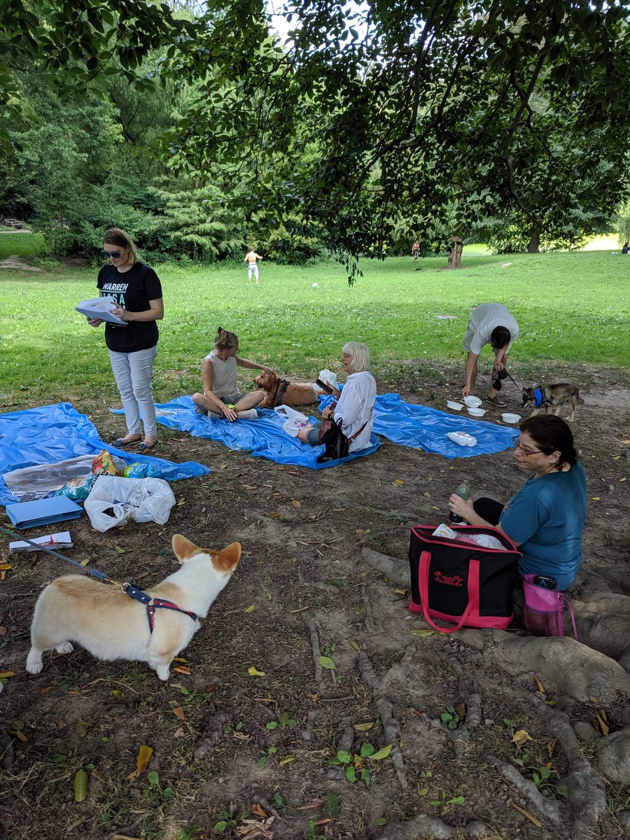 akac's tweet photo. Here we go! #DogDaysofSummer #PetsforWarren #Warren2020 #TeamWarren https://t.co/7sHB3jwIjw