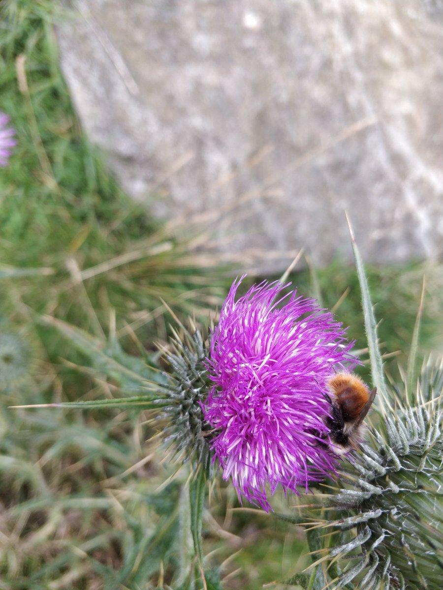 Emily Bailes tweet media