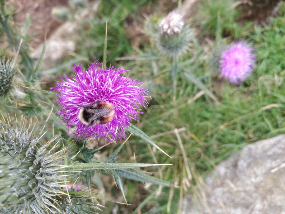 Emily Bailes tweet media