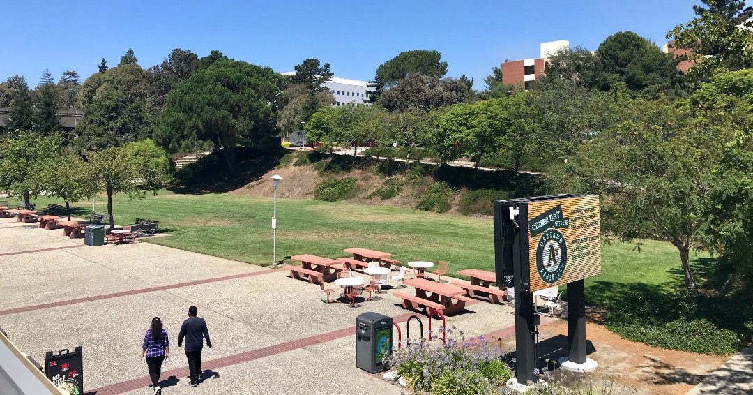 CSUEBASI's tweet photo. Saturday's are for studying and ASI wants to know your favorite studying spot?! We love being outdoors on our campuses beautiful lawns! #lawnlife #studysaturdays #CSUEB #ASI https://t.co/TZkD61bSp8