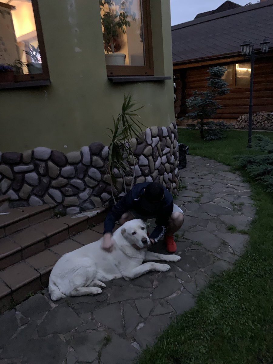 92Vasya9's tweet photo. Homeless animal day . https://t.co/z3HgXmwmQp