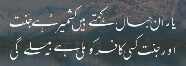 ShahHashld tweet picture