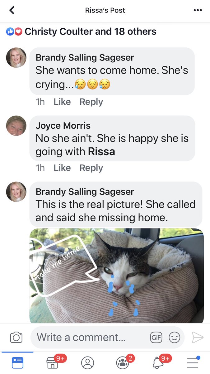 prissssay's tweet photo. Do u think my mom misses my cat? https://t.co/w2JeSo5Ei3