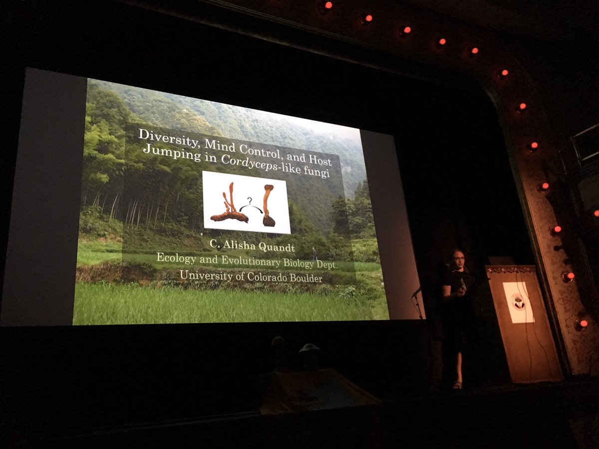 COmacrofunga's tweet photo. From #msafungi19 to the Telluride Mushroom Festival, @alisha_quandt is making the rounds sharing her knowledge on the Cordiceptaceae and fungal mind control. #TellurideMushroomFestival #moremycology #fungi https://t.co/v0aPuUbduP