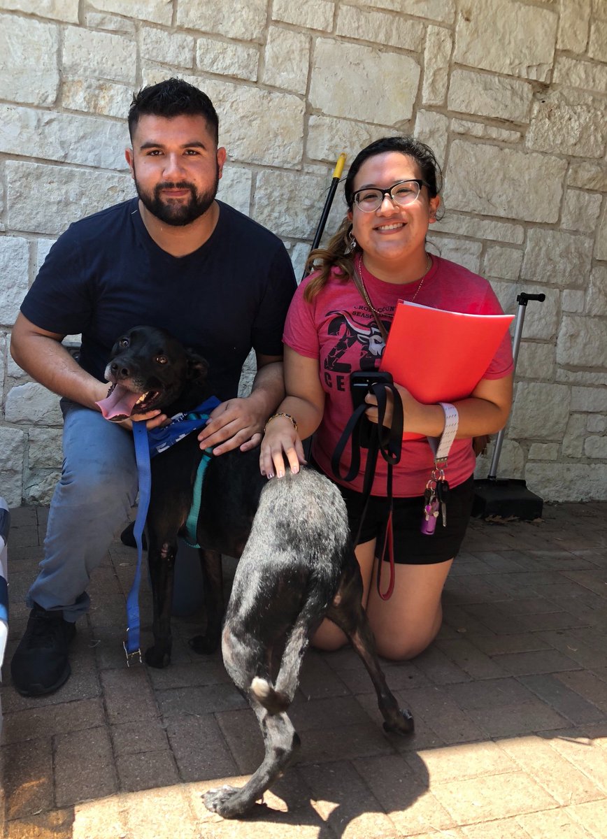 EloInvestigates's tweet photo. The Juarez siblings just adopted Finley!! They just helped #ClearTheShelters @NBCDFW  #DesocuparLosAlbergues @Telemundo39 https://t.co/yFnuh81meI