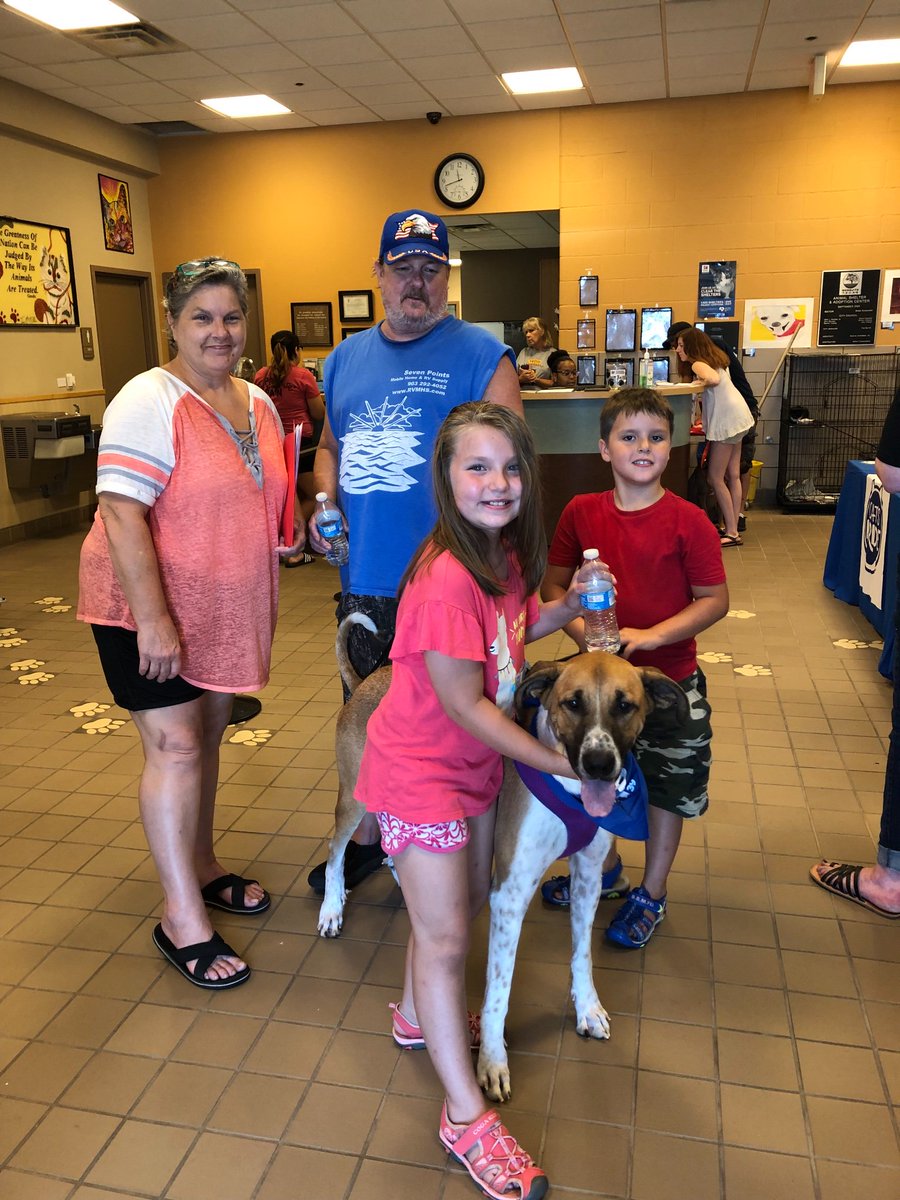EloInvestigates's tweet photo. The Pruitt family is incredibly excited to take their new family member home!! Thank you helping #ClearTheShelters #DesocuparLosAlbergues @NBCDFW @Telemundo39 https://t.co/VbFDeltJkN