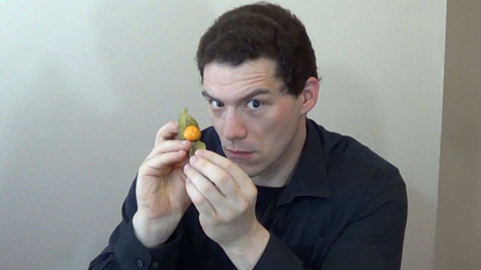 Pic of me about to eat a Goldenberry