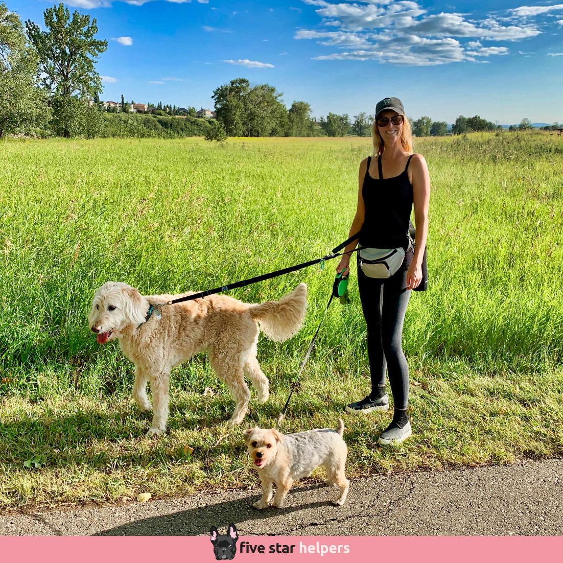FiveStarHelper's tweet image. Enjoying a sunny dog walk at Fish Creek Provincial Park with Mobley and Sofia.
.
⭐⭐⭐⭐⭐ Google Reviews
🐶 Need dog sitting or dog walking?
☎ 587-439-2414
📧 hello@fivestarhelpers.com