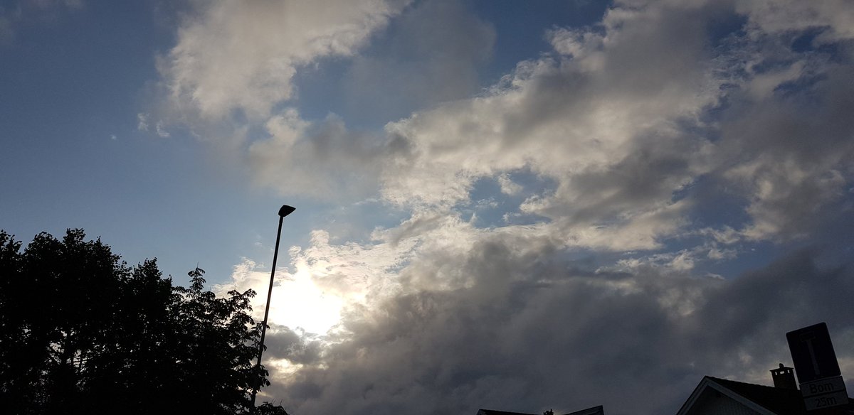 Dilyanka4's tweet photo. #fotography #foto #sky #clouds #sun #sunlight #landscapephotography #treea #tree #landscape https://t.co/j7k2m2gpbZ