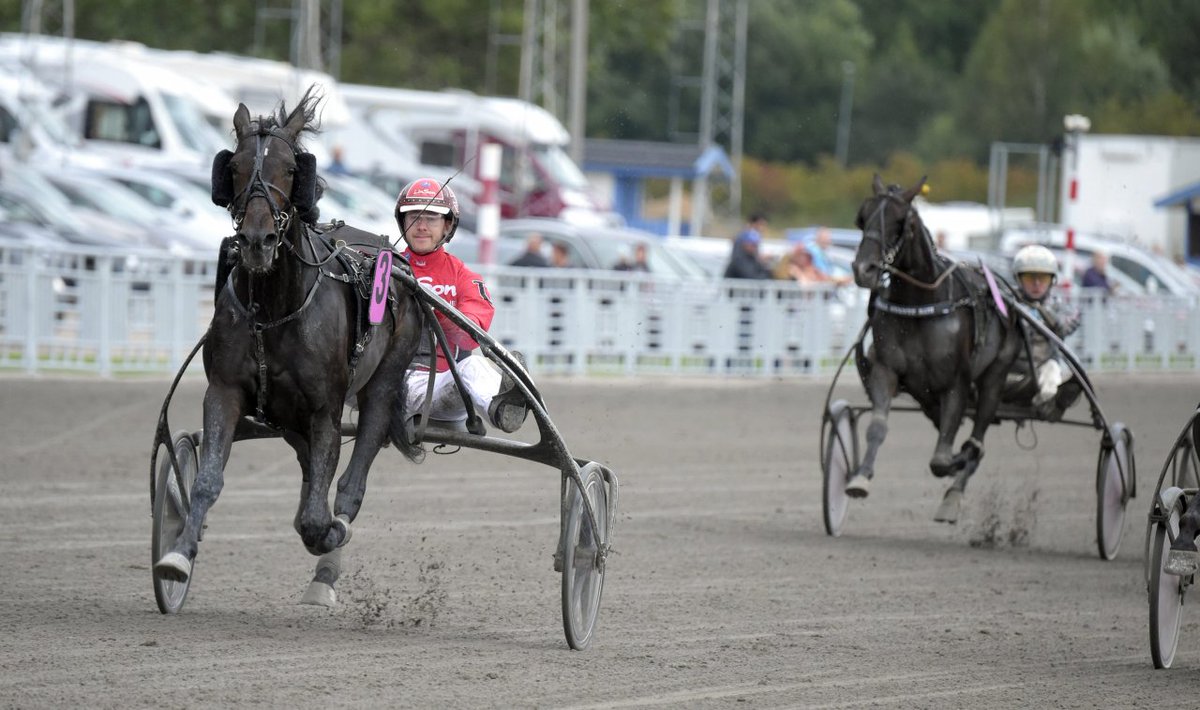 Joe_Zagari's tweet photo. #AetosKronos 🇮🇹 #BoldEagle won #E3Final 2019 @E3trav 🏆 Group 1⃣ on @orebrotravet 🇸🇪 3yo Colts & Geldings with @UntersteinerJ & #JerryRiordan⏱️1.10.9 on 1609 over #GlobalAdventure and #ZolaKey
📸 #MartinLangels https://t.co/k3Vqedb6oI
