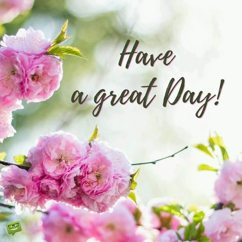 YourSunshineCo's tweet photo. If you were looking for a walk-in meeting with our CBD oil formulator today is the day! She will be at our Main location (3265 Falls Pkwy) until 6pm. Stop in and say hi!
#ysc #naturalwellness #cbdnearme #cbdoil #cbdeducation https://t.co/60e9UWwoO1