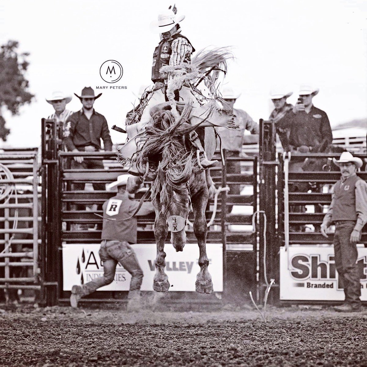 photompeters's tweet photo. Never underestimate the heart of a champion. 
@SankeyProRodeo https://t.co/GmGEDte3zt