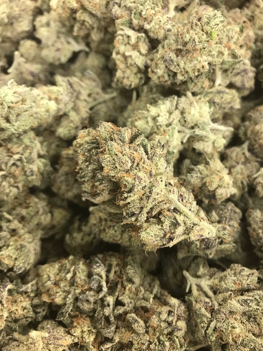 RootedZen's tweet photo. No flash/no filter of the Crazy Glue. A personal favorite! #RootedZen #FarmaNotPharma #Oklahoma #OklahomaGrowers #OklahomaDispensaries #405Growers #405Dispensaries #OklahomaCannabis #OklahomaMarijuana #OKMMJ #MMJ #Cannabis #Marijuana #CrazyGlue #HighTimes #CannabisCup https://t.co/Qk47xx5v6E