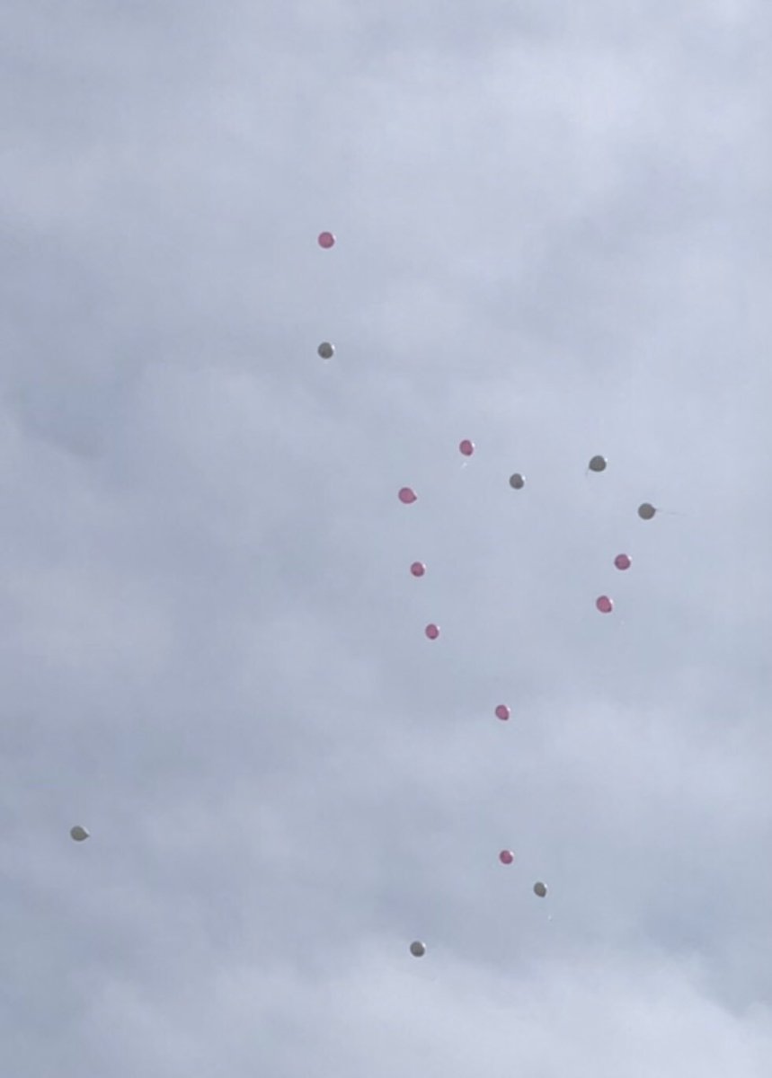 AndrewIsler's tweet photo. A piece of our hearts made it’s way to paradise today. Adaline Grace ❤️ https://t.co/hurJxW94ei