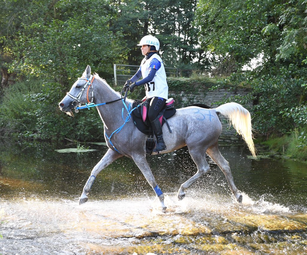 The winner of the Meydan FEI Endurance European Championship is Italy’s Constanza Laliscia on Sacha El Kandhaar with an average pace of 22.47kmph - congratulations! Link to results in bio
<a href="/MeydanEvents/">Meydan Events</a> <a href="/FEI_Global/">The FEI</a>