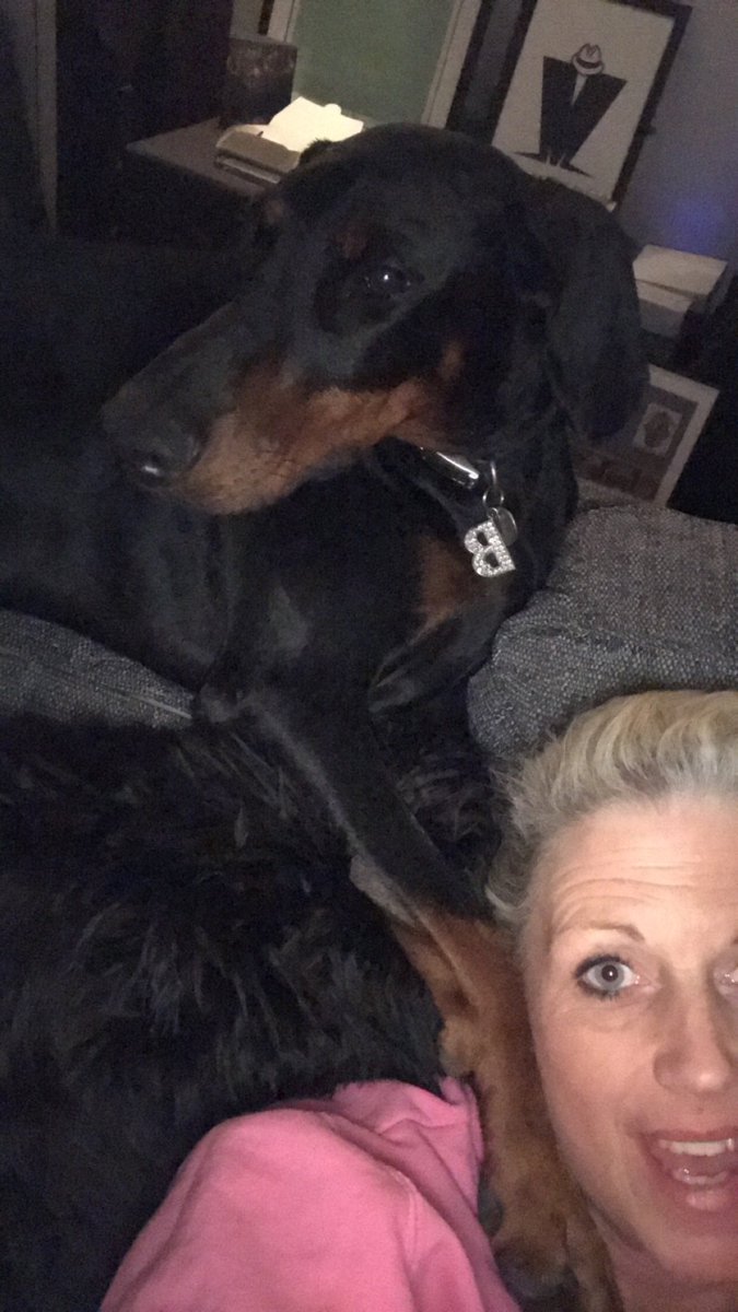 TillyBeaz's tweet photo. Always on guard always ready to protect and serve.#dobermansjustdo #naturallyfearless https://t.co/qfxag1pIjf