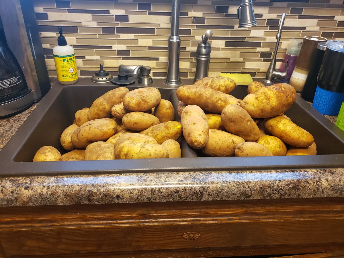 Weazzy314's tweet photo. National Potato Day is Monday!!!
HD 2202 will be having Baked Potatoes!!! Do you think 100 lbs is enough👍😊 https://t.co/bU2JiWV2FB