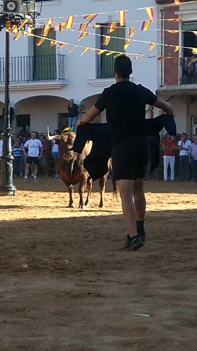 “Preciosito”, buen TORO DE LA JUVENTUD de <a href="/ASTAUVI/">ASTAUVI VILLALPANDO</a> en Villalpando (Zamora).

📷 Emilio Espeso.