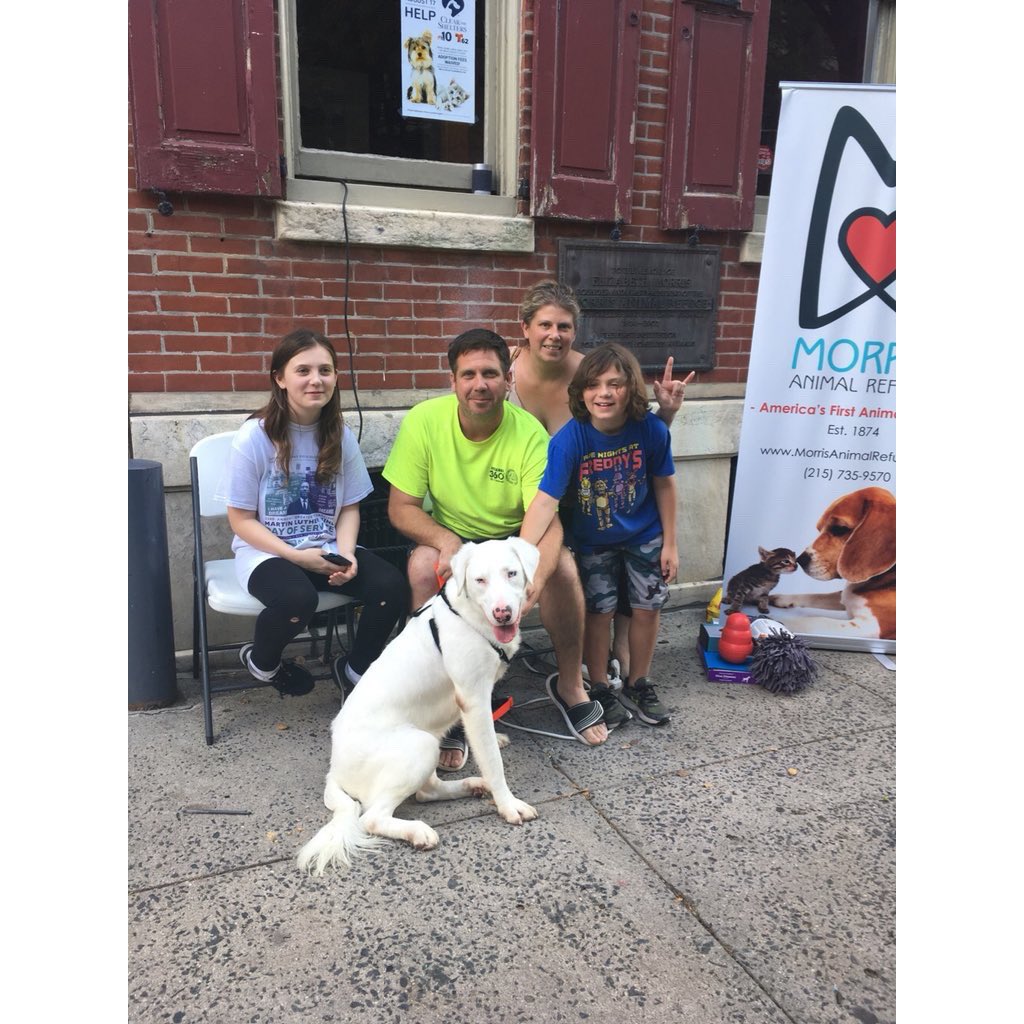 yashar's tweet photo. Teddy has a forever home!!!!! 

Thank you @saffron_511!!!

As many of you know, Teddy is deaf and I’ve just learned that @Saffron_511’s daughter is Deaf and the family looks forward to teaching Teddy sign language!

Please donate to @MorrisAnimal: https://t.co/CCgZ0nEYyz https://t.co/DJ1REB4GcK