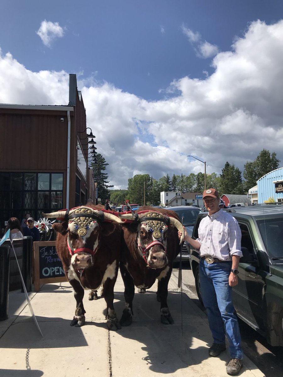EauClaireCraft's tweet photo. The oxen, Bright & Lion, stopped by for a cocktail! Did you get a chance to say hi? @OpenFarmDays #shareeauclaire #yyc #abfarms https://t.co/4blY5pWQwe