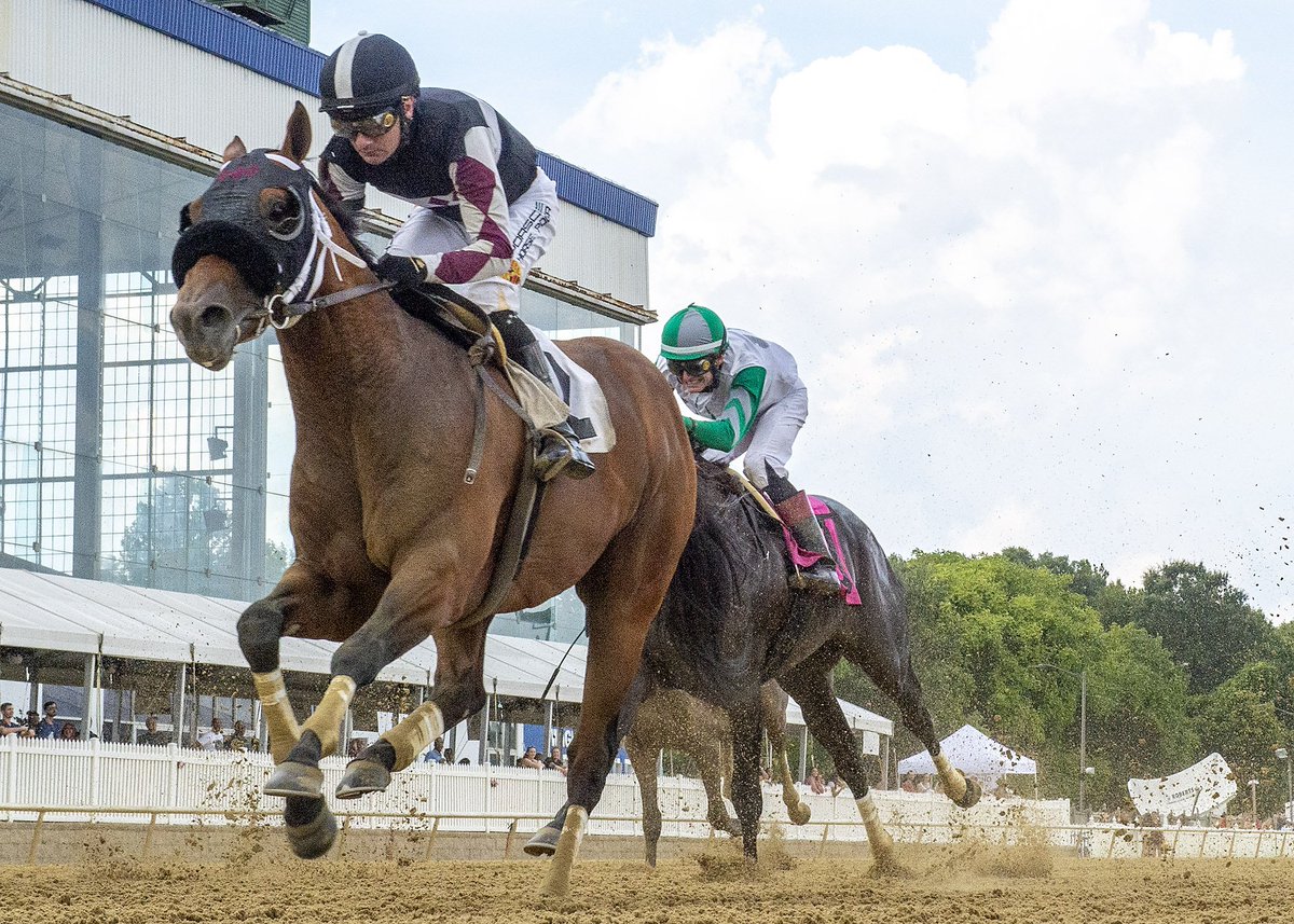 mdhorsemen's tweet photo. @SagamoreRacing @MarylandTB homebred Where Paradise Lay, colt by Into Mischief, wins 6F Star De Naskra S. for 3-year-olds MD-bred or -sired @LaurelPark with @FLynchJockey aboard for trainer Stanley Hough. (Jerry D. photo) https://t.co/cP3qcUYGgw