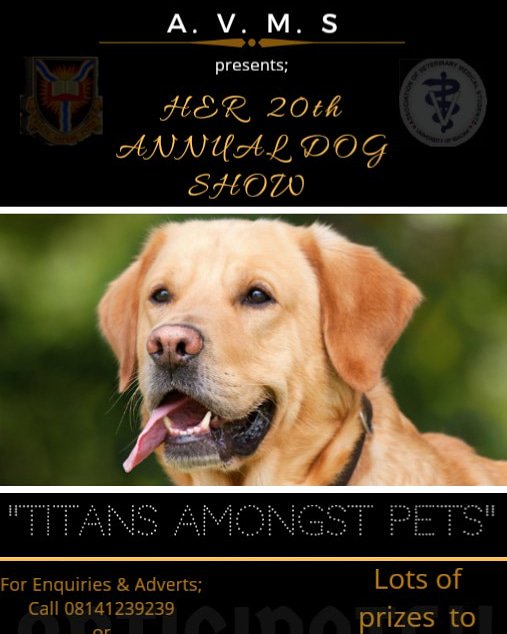 Avms_unibadan's tweet photo. #TitansAmongPets
#AVMSDogShow2019
#Anticipate https://t.co/DUGrFB62uT