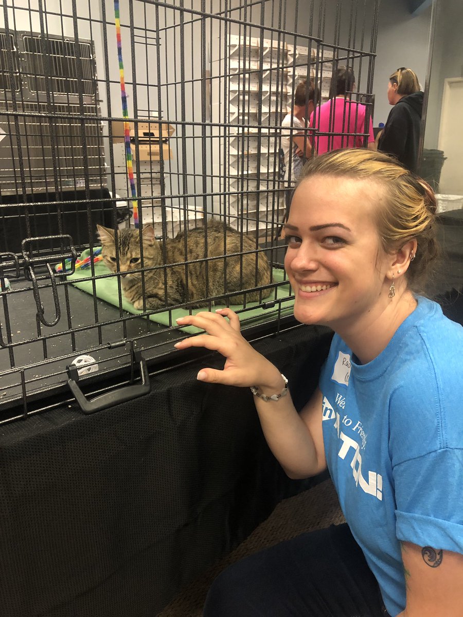 CUofAmerica's tweet photo. CUA employees doing their part to help #ClearTheShelters with @WAALRescue! It’s too bad we couldn’t adopt a few office cats 😉🐱 #CUinAction #CUA #LoveYourCommunity
Interested in adopting, supporting, or volunteering with WAAL? Visit https://t.co/Fh0TPfHWfi https://t.co/sJHp5LlR11