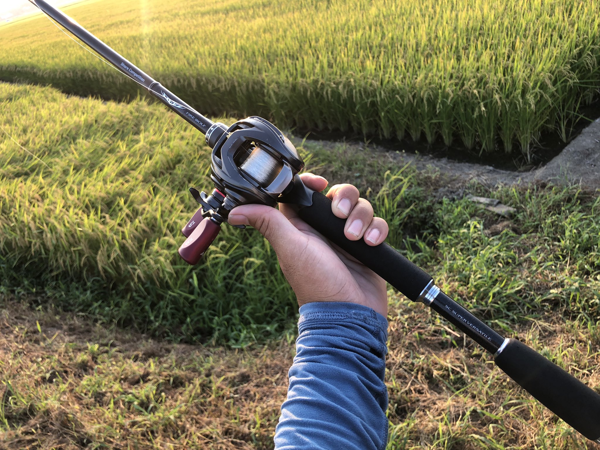 スティーズ ファイアウルフ （DAIWA ダイワ スティーズ SC C69M