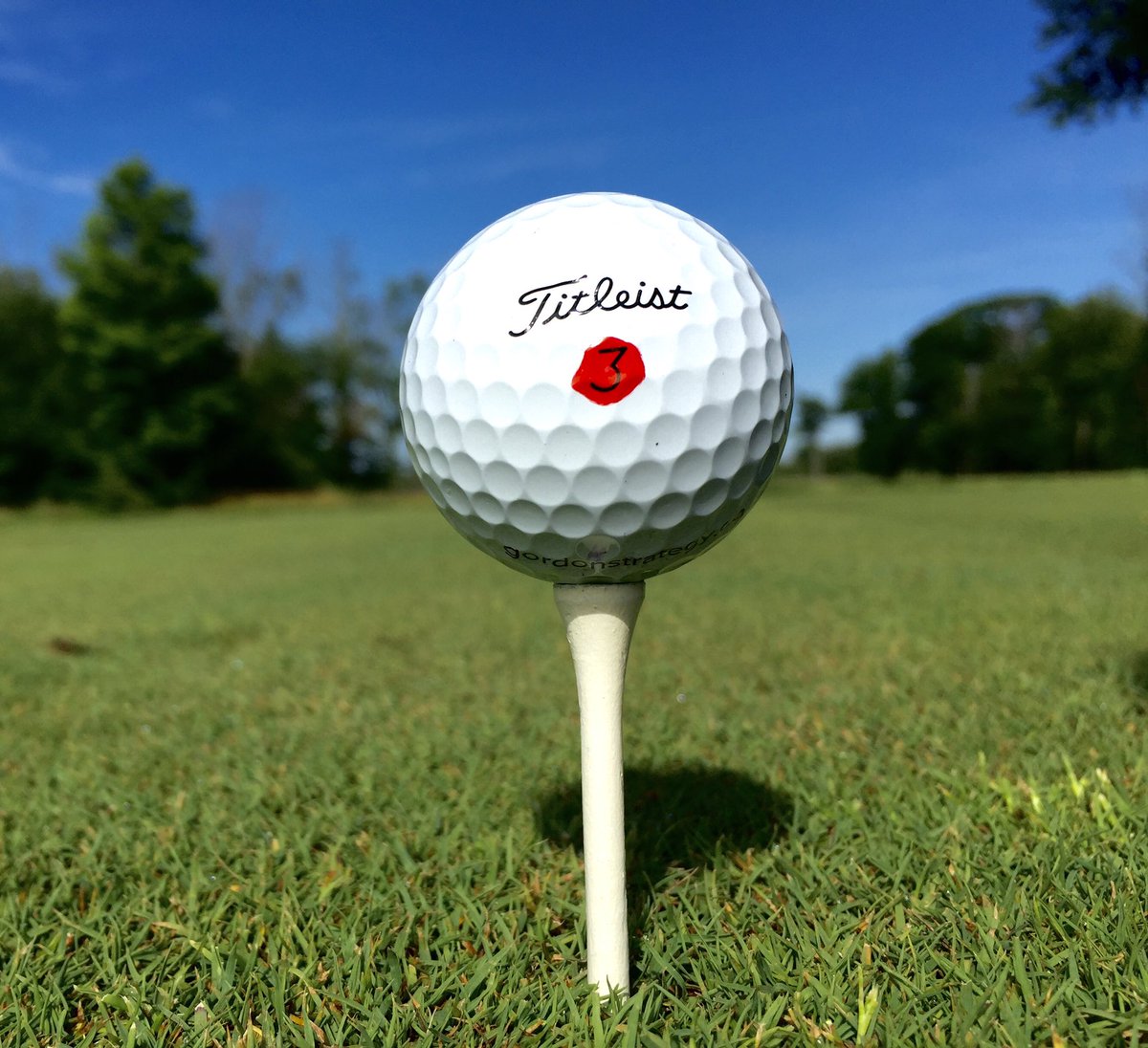 MatthewDPegg's tweet photo. In golf, business and life, the only shot that really matters is your next one. Once you hit your shot, that shot is done. Sometimes you smile. Sometimes you shake your head in disbelief. Regardless, you must walk on, assess your next shot and hit it again. 👌🏻 #golfwisdom https://t.co/nyLWuwZ5hG