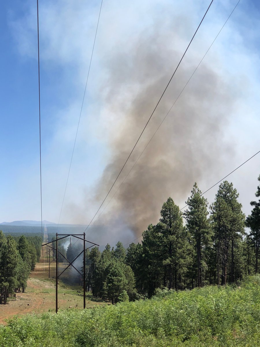 Coconino NF tweet media