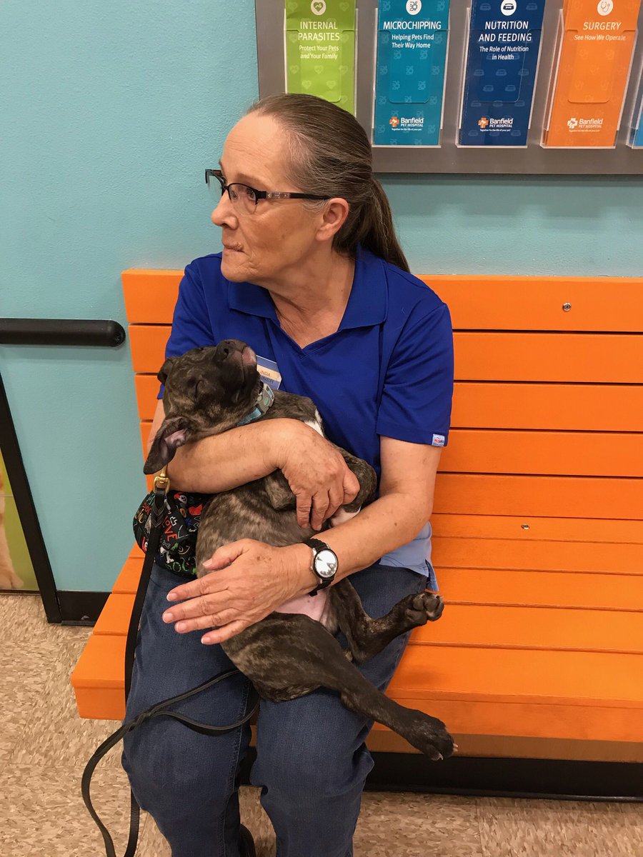 PetsmartQC's tweet photo. A month ago our #petsmarttrainer lost her dog.  Since then she’s been looking for a puppy to train @PetSmart QC.  Today at #ClearTheShelters event, Linda &amp; Moose found each other.  Look at how he’s sleeping peacefully in her arm.❤️@PetSmartChariTs @SantanRescue @AZCARE_Rescue https://t.co/Rkh8WmTEsW
