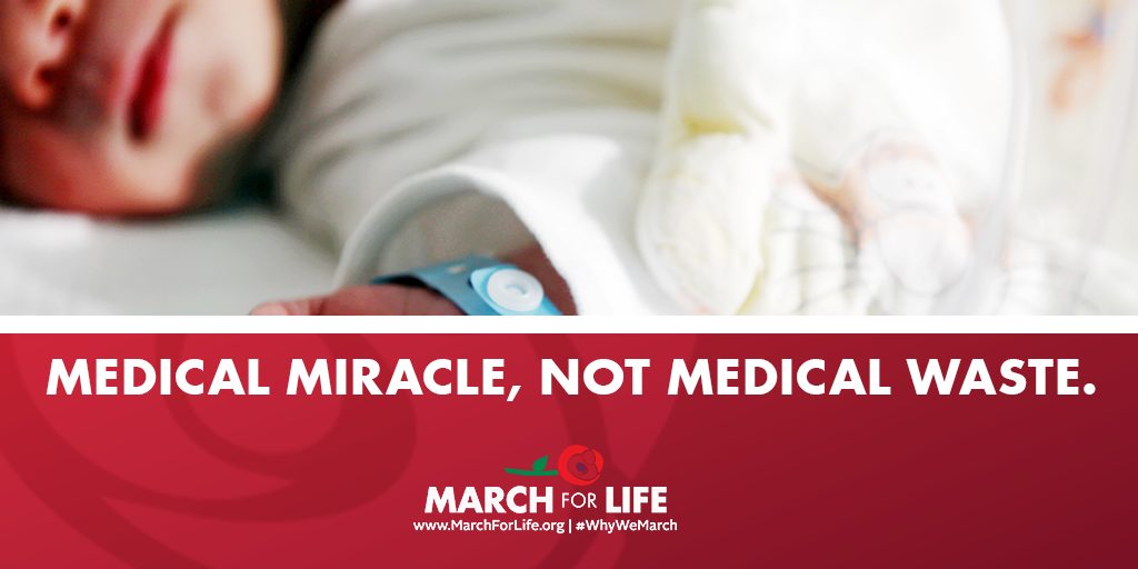 logic language and reasoning essays in honour