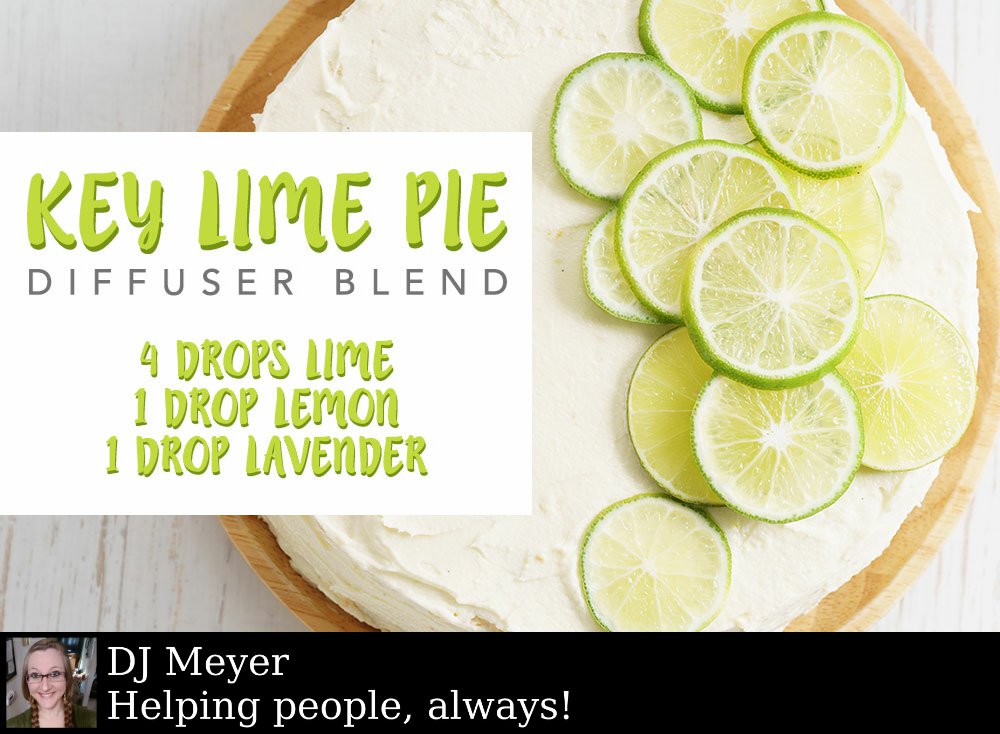 DJ83Meyer's tweet photo. Where do you prefer your Key Lime Pie? At home with friends, on a picnic, beside the pool, or in your diffuser? https://t.co/i0yvN8kRyv