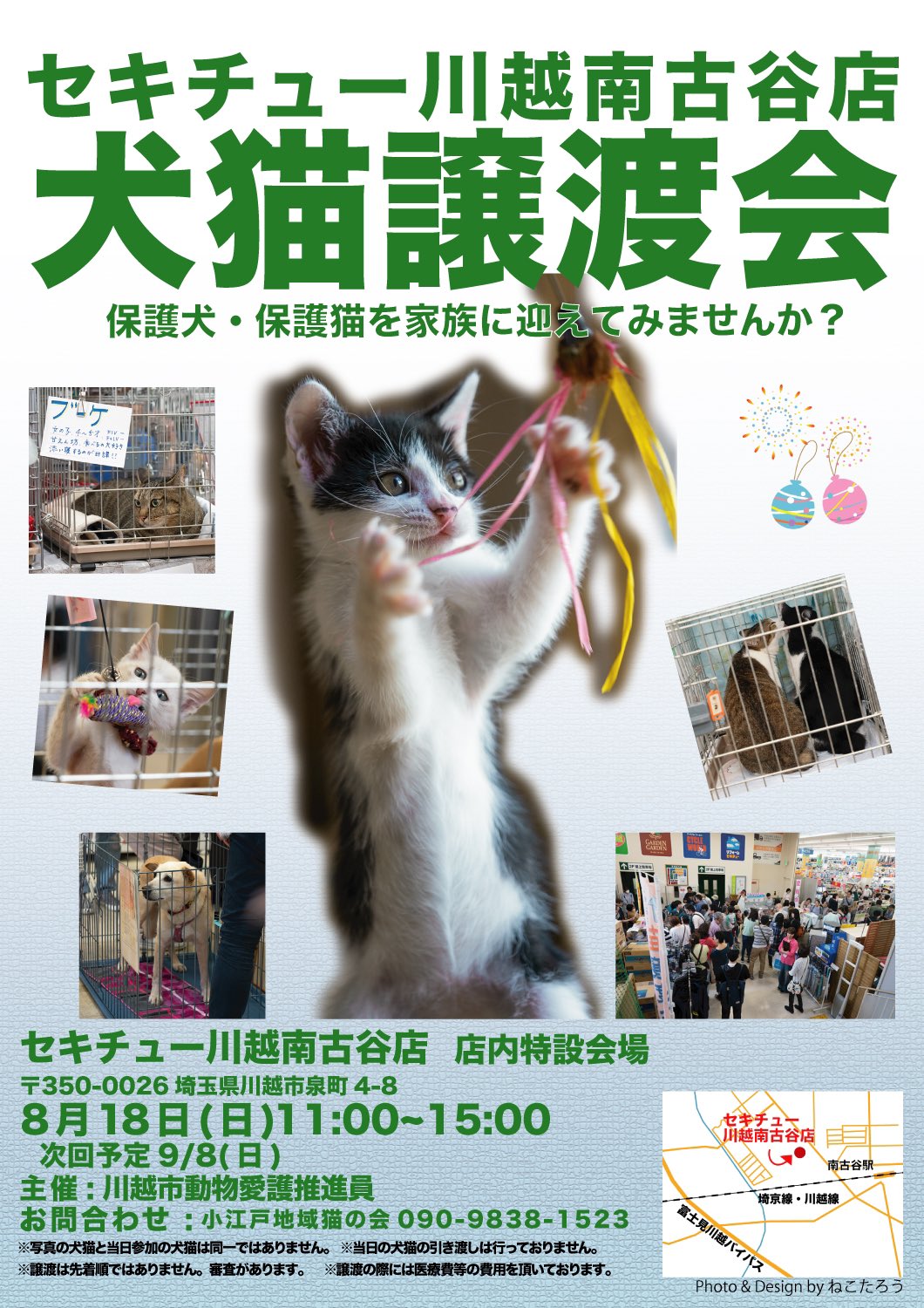 狭山市 猫カフェ Funnycat 今日は セキチュー川越南古谷店様にて 11 15時譲渡会開催です 店内特設会場にて 良いご縁がありますように 保護猫 子猫 成猫 里親募集 セキチュー川越南古谷店 譲渡会 里親会 ポニョ とんぼ きき T Co