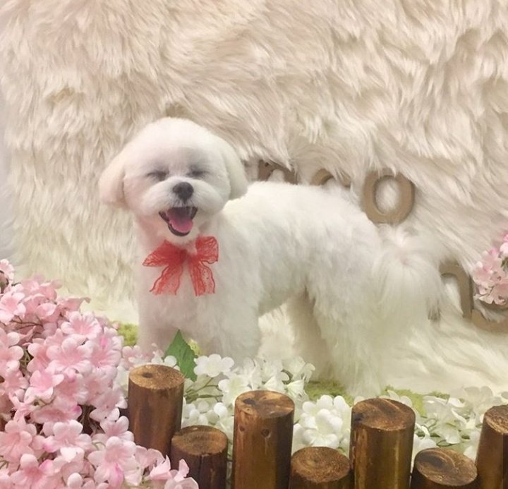 haetnim as yeri ; a thread