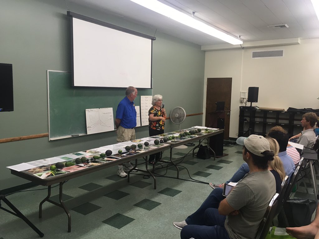 ValenzuelaJohn's tweet image. Avocado Varieties from A to Z, talk with Julie Frink and Denny Luby #CRFG #FestoFruit2019