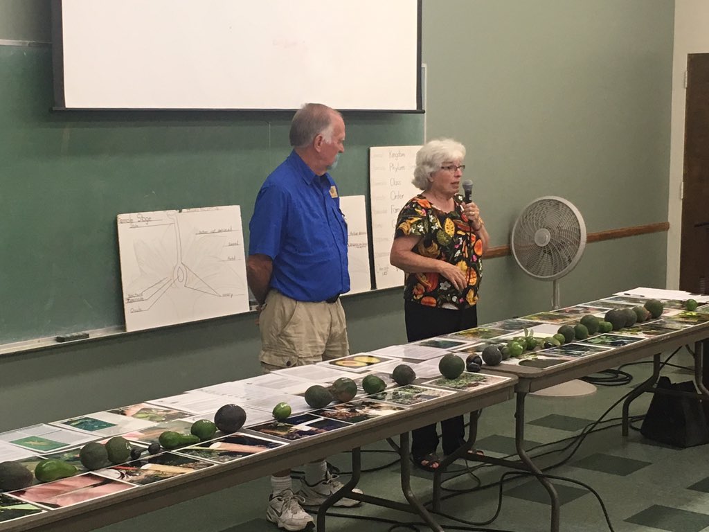 ValenzuelaJohn's tweet image. Avocado Varieties from A to Z, talk with Julie Frink and Denny Luby #CRFG #FestoFruit2019