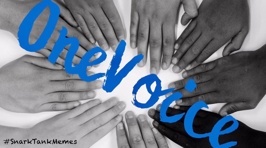 OneVoice1 tweet media