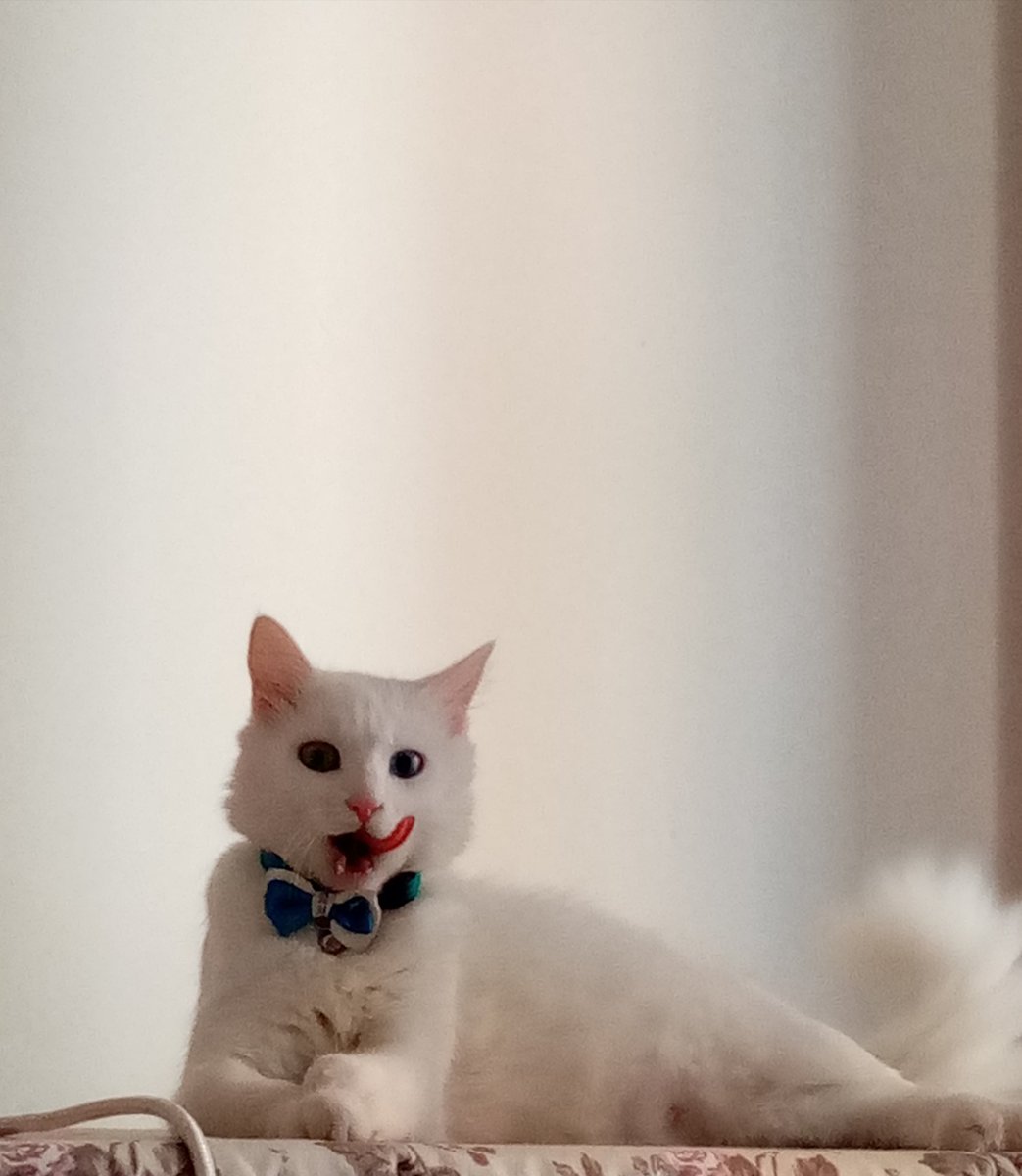 En sevdiği mamasını kesmiyim diye doğurmayı reddediyor sanırım.