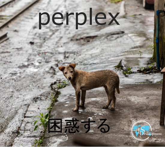 DevelopmentLs's tweet photo. #英単語 #英��の例文
#困惑する #perplex
She was perplexed when he proposed to her.
彼が彼女にプロポーズしたとき、彼女は困惑しました😨
https://t.co/qdRXXpSpni🇬🇧
#英会話 #英会話スクール #オンライン英会話 #英会話  #英単語帳 #英語垢 
※英単語は複数の意味を持つことがありこれは一例です https://t.co/n8v05aB8lm