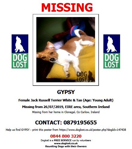 DogLostUK's tweet photo. #LOST #DOG GYPSY
Female #JackRussellTerrier White & Tan Young Adult
#Missing from her home in #Clonegal #CoCarlow
#Ireland #EIRE #SouthernIreland
Friday 26th July 2019
#LostDog @SAMPAuk_ @VetsGetScanning
https://t.co/WZM3hPFiXx https://t.co/ORJkrMTrfq