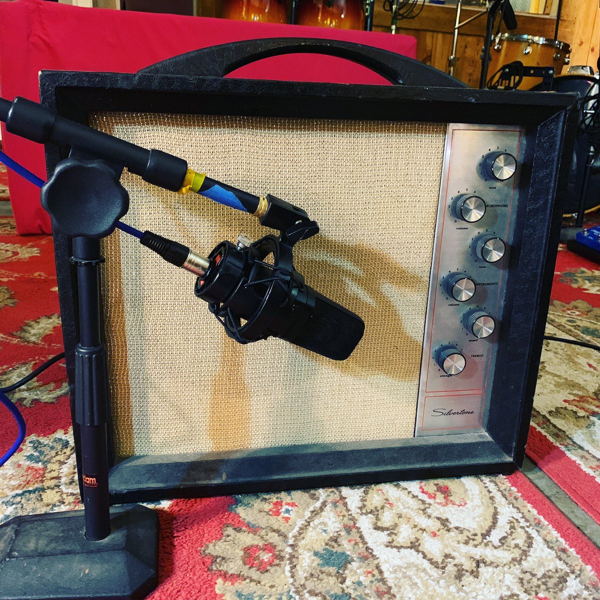SamtheLionBand's tweet photo. #tone https://t.co/dC4CBzILfS