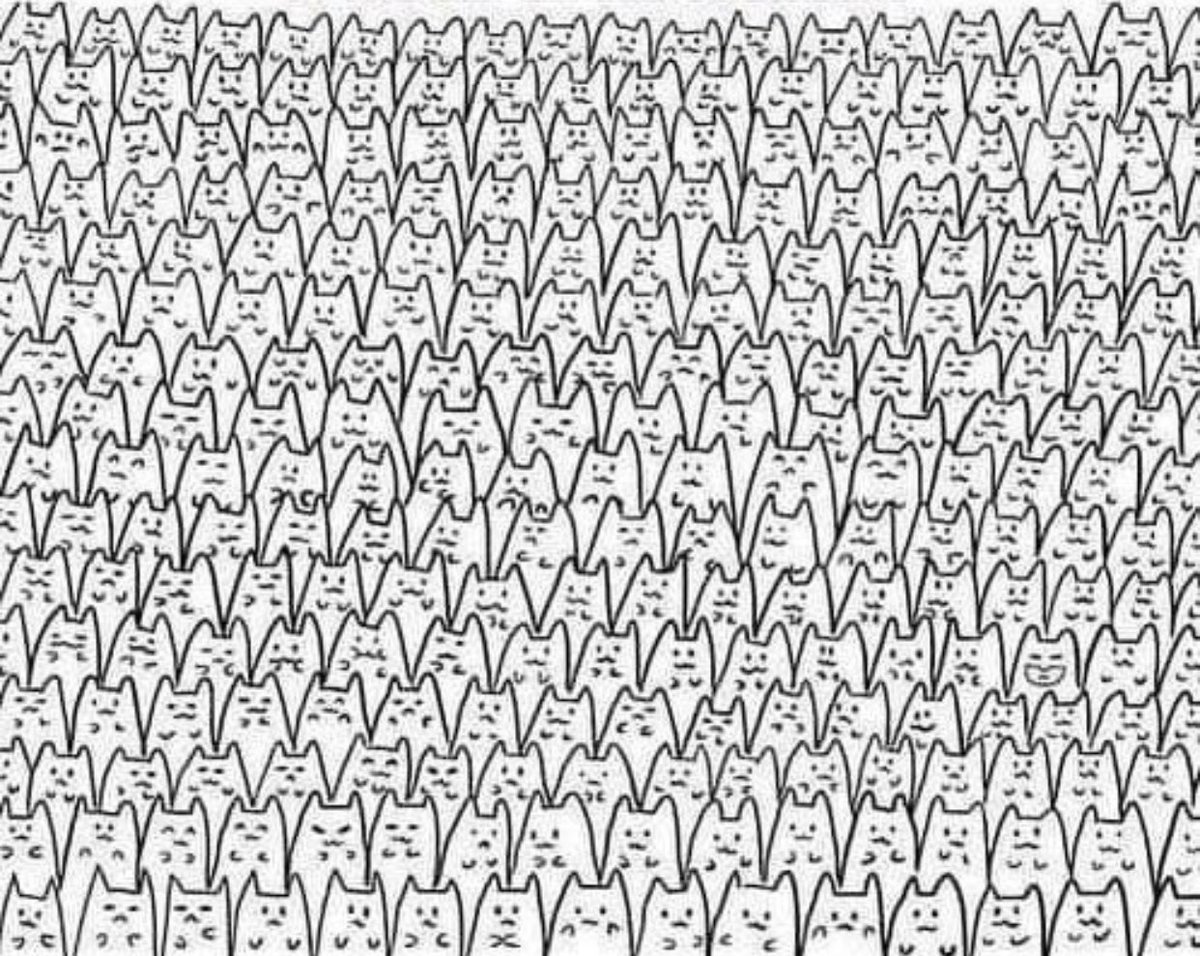 Найди чтобы я ее скачал. Найди и раскрась. Найди отличия щенки. Задание на внимание найди предмет. Много предметов на картинке.