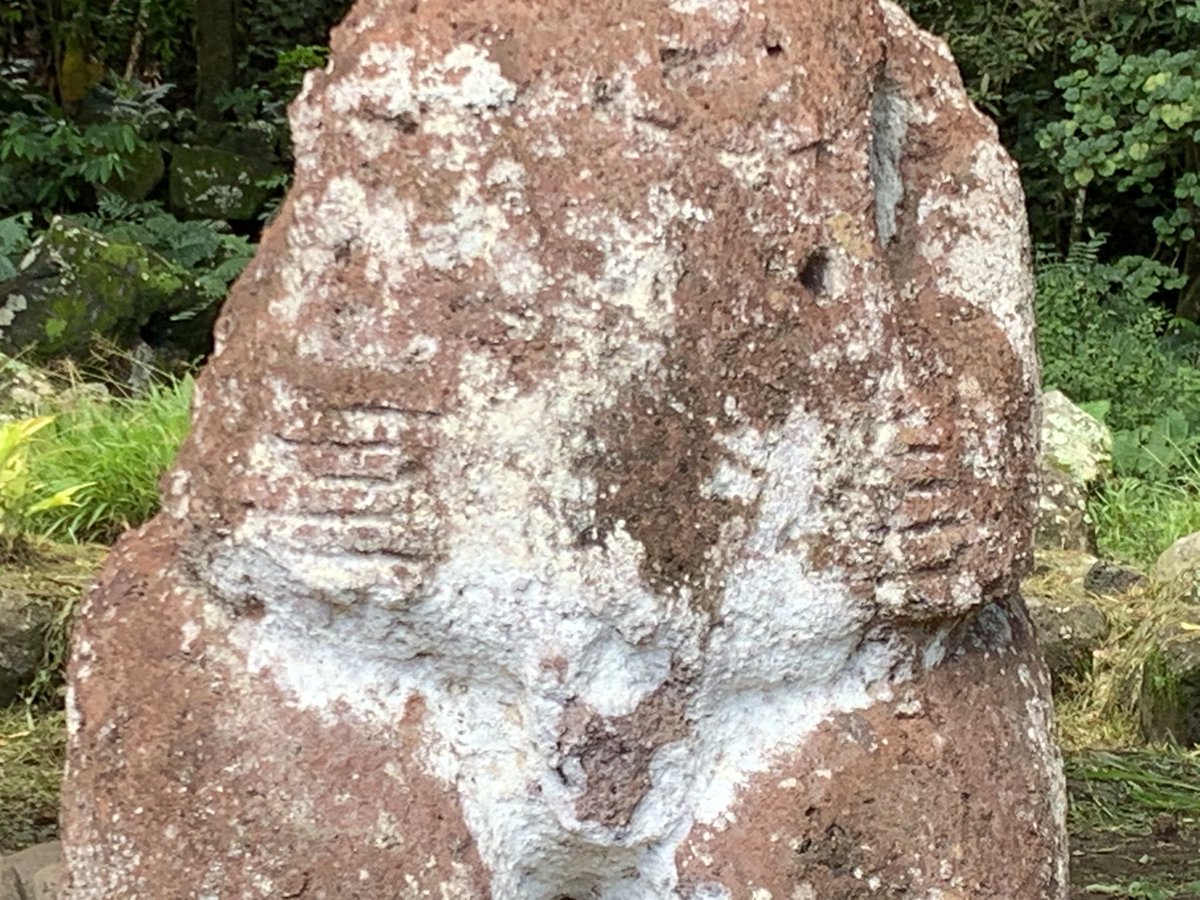 RH_Khonsari's tweet photo. Six-fingered tiki at Ipona in Puamau valley, Hiva Oa island #tiki #puamau #hivaoa #aranuicruises @aranuiadventure @aranuivacations #polydactyly #ofd1 @aranuicruises https://t.co/hVef3SpZJo
