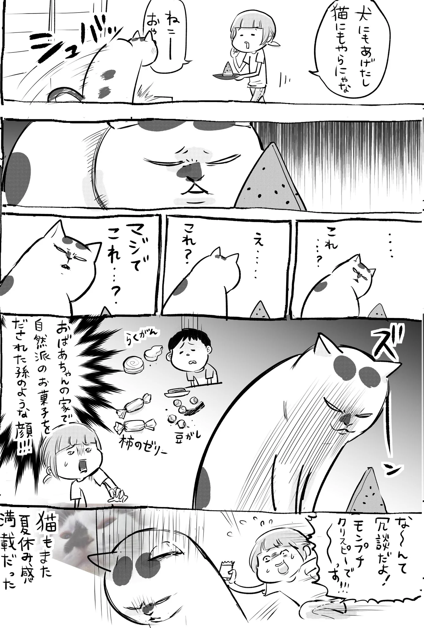 犬と猫どちらも飼っているとどちらも子供の夏休みのような反応が可愛いww