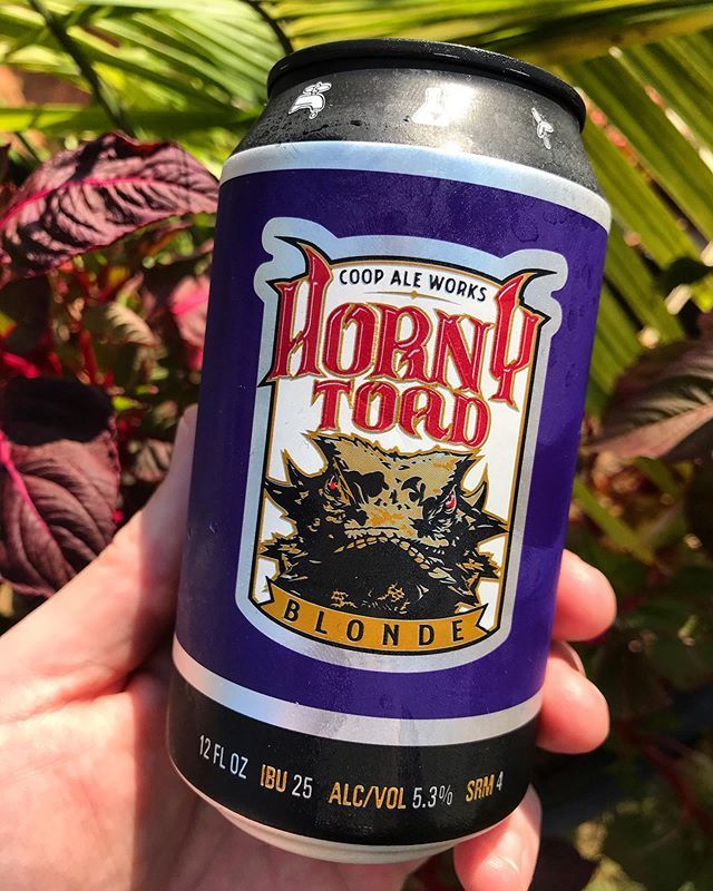 craftbeerarchiv's tweet photo. Good neighbors share good beers, in rare cans! 😉🍻A @coopaleworks #hornytoad #blonde. #tcusucks #boomer #normanok #coopaleworks #oudna #craftbeerarchive #craftbrew #beer #beerstagram #craftbeerlovers #brewstagram #beergeek #beergeeks #brewski #craftbe… https://t.co/VTCKjaKddC https://t.co/7emPWyOWZV